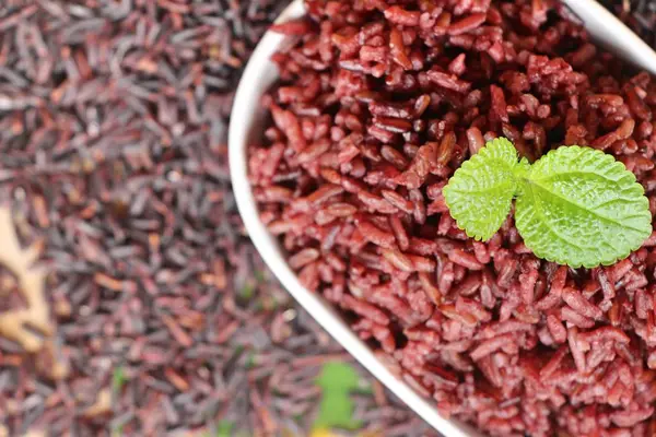 Kokt svart ris och rå ekologisk riceberry ris — Stockfoto