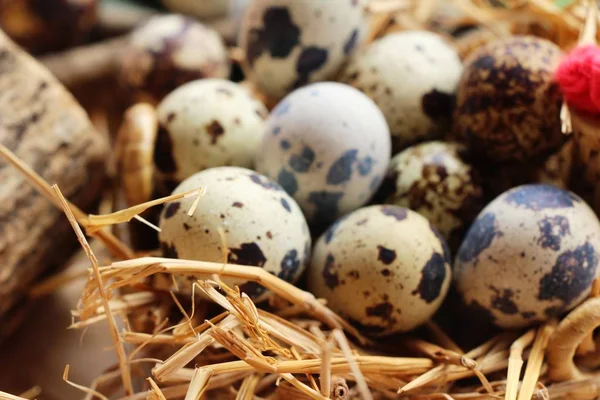 Jaja przepiórcze jest pyszne na tle drewna — Zdjęcie stockowe