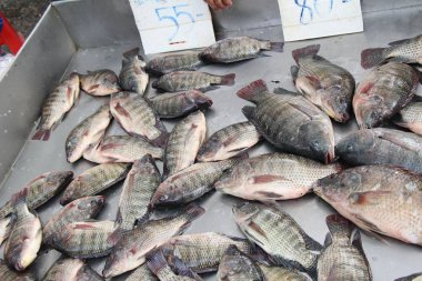 Taze balık sokak gıda yemek pişirmek için