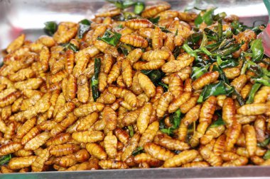 Fried ipek solucanlar sokak gıda lezzetli