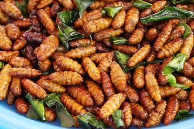 Fried ipek solucanlar sokak gıda lezzetli