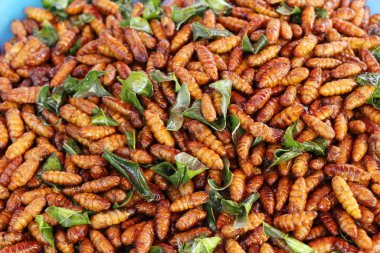 Fried ipek solucanlar sokak gıda lezzetli