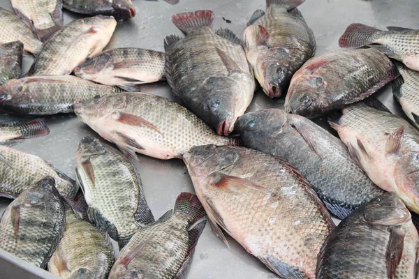 Verse vis voor het koken op straat eten — Stockfoto