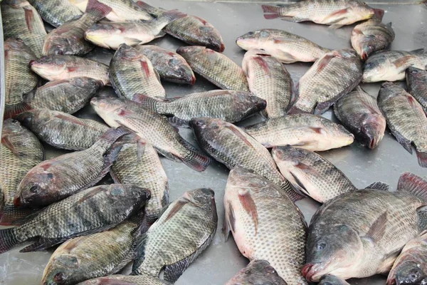 Verse vis voor het koken op straat eten — Stockfoto