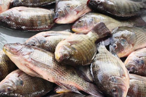 Verse vis voor het koken op straat eten — Stockfoto