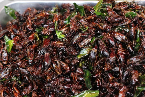 Жареные насекомые очень вкусны в уличной еде — стоковое фото