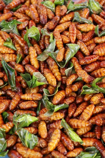 stock image Fried silk worms delicious in street food