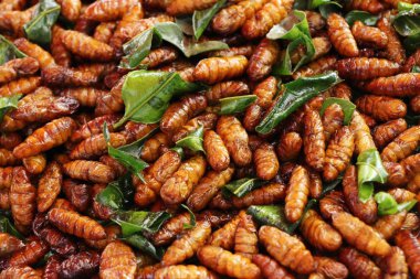 Fried ipek solucanlar sokak gıda lezzetli