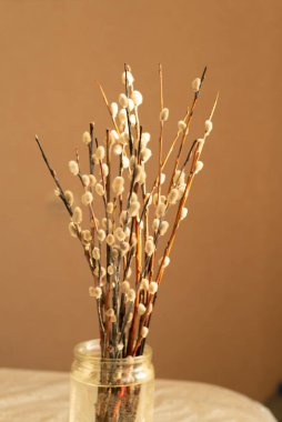 Willow bouquet with pussy willows in glass jar, vertical, on beige pastel background. Bunch of branches. Spring Easter Concept. shallow depth of field