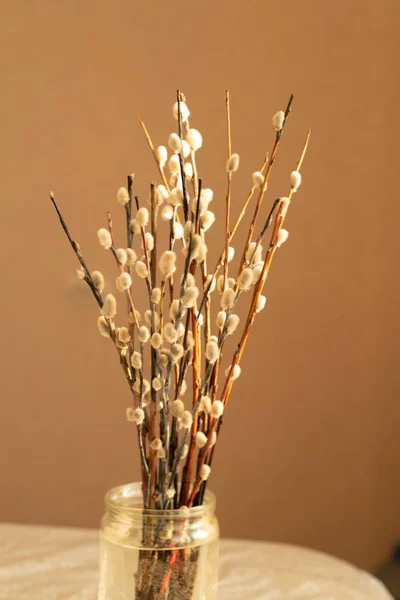 Willow bouquet with pussy willows in glass jar, vertical, on beige pastel background. Bunch of branches. Spring Easter Concept. shallow depth of field