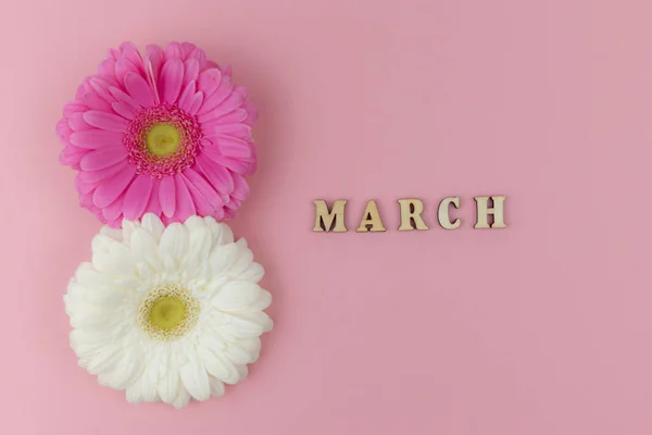 Deux grandes fleurs de gerbera, blanche et rose avec un mot en bois marchent sur un fond rose de près. Espace de copie. Journée de la femme, 8 Mars, conception, concept de carte de vœux . — Photo