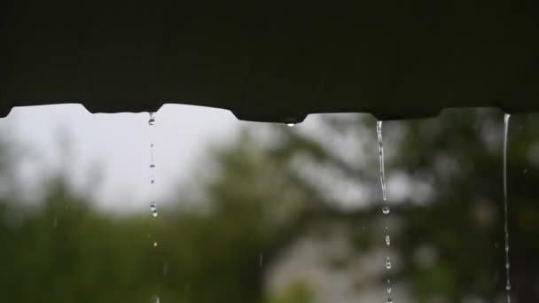 Капли дождя падают с крыши во время сезона дождей. Дождь течёт вниз. Зеленая листва размытый фон . — стоковое видео