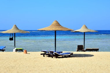 Marsa Alam Mısırdaki plaj şemsiyesi