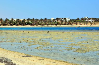 Marsa alam, Mısır, Afrika