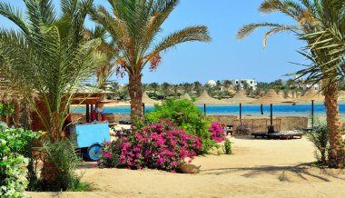 Marsa alam, Mısır, Afrika