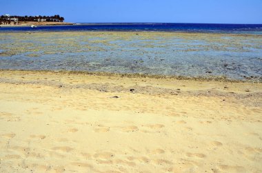 Marsa alam, Mısır, Afrika