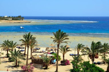 Marsa alam, Mısır, Afrika