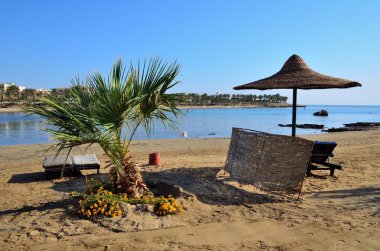 Marsa Alam Mısırdaki plaj şemsiyesi