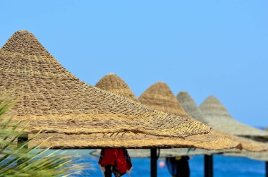 Marsa Alam Mısırdaki plaj şemsiyesi