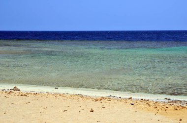 Marsa alam, Mısır, Afrika