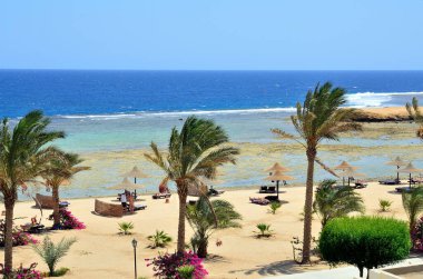 Marsa alam, Mısır, Afrika