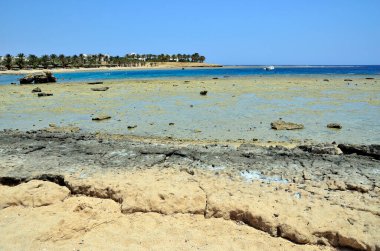 Marsa alam, Mısır, Afrika