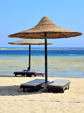 Marsa Alam Mısırdaki plaj şemsiyesi