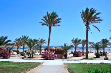 Marsa Alam Mısır Turizm Köyü