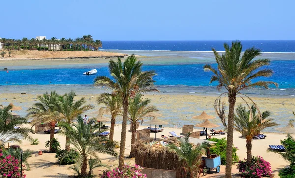 Marsa Alam Egypte Afrika — Stockfoto