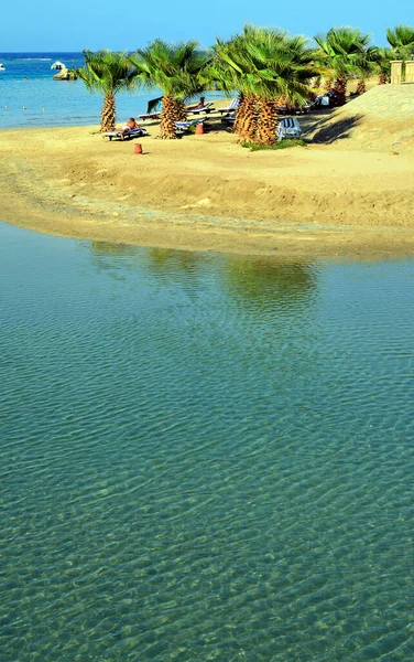 Marsa Alam Egipto África — Fotografia de Stock