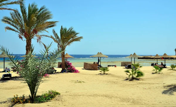 Marsa Alam Ägypten Afrika — Stockfoto