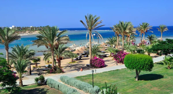 Marsa Alam Egypt Africa — Stock Photo, Image