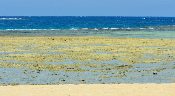 Marsa Alam Egipto África — Fotografia de Stock