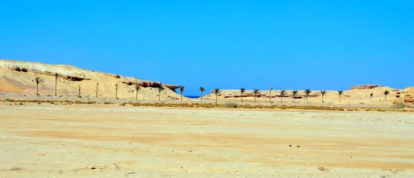 Área Desértica Perto Marsa Alam Egypt — Fotografia de Stock