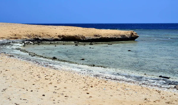 Marsa Alam Ägypten Afrika — Stockfoto