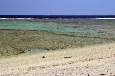 Marsa alam, Mısır, Afrika