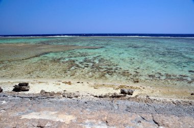 Marsa alam, Mısır, Afrika