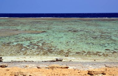 Marsa alam, Mısır, Afrika