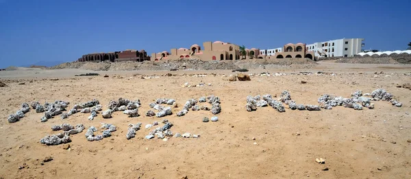 Zone Désertique Près Marsa Alam Egypt — Photo
