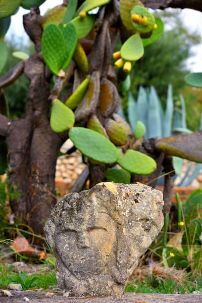 Enchanted Castle Work Sculptor Filippo Bentivegna Who Years Has Carved — Stock Photo, Image