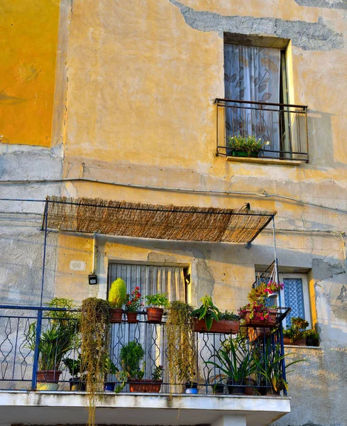 科学的イタリアの港の近くにある特徴的なパステルカラーの家 — ストック写真