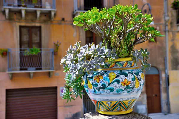 Характерная Ваза Уличная Мебель Sciacca Sicily Italy — стоковое фото
