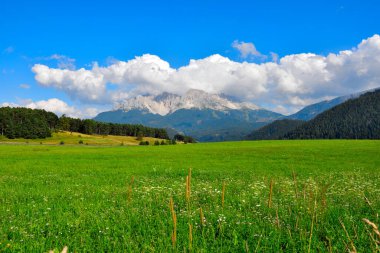Dolomitler, İtalya 'da Latemar (obereggen) dağı
