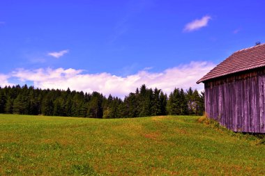 Nova ponente alto Adige İtalya 'nın çayırları ve dolomitik manzarası