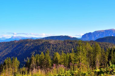 Dolomitler, İtalya 'da Latemar (obereggen) dağı