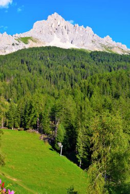 Dolomitler, İtalya 'da Latemar (obereggen) dağı
