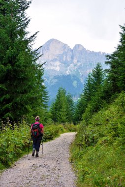 Obereggen 'dan Carezza Gölü' ne yürüme yolu Güney Tyrol İtalya