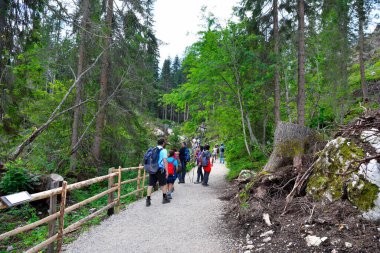 12 Ağustos 2019 Nova Levante Bolzano İtalya 'da Carezza Gölü' nün etrafından geçen turistler.