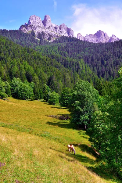 Dolomitic Path Obereggen Alto Adige Italy — стоковое фото