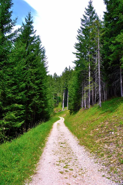 Панорама Obereggen Alto Adige Италия — стоковое фото